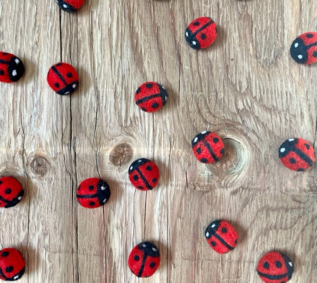 Lady Bugs