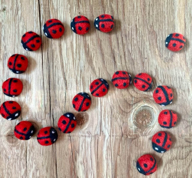 Lady Bugs