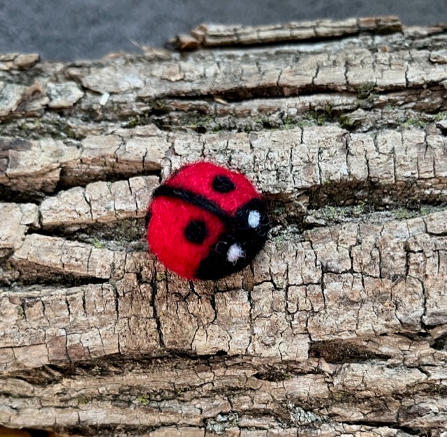 Lady Bugs